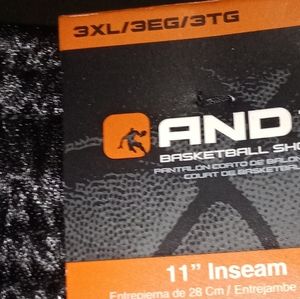 3x And 1 basketball shorts for men